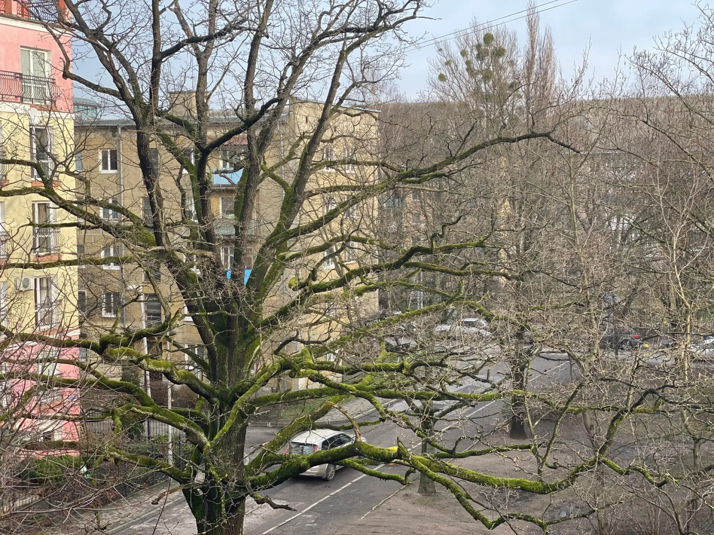 Апартаменты на Колоскова