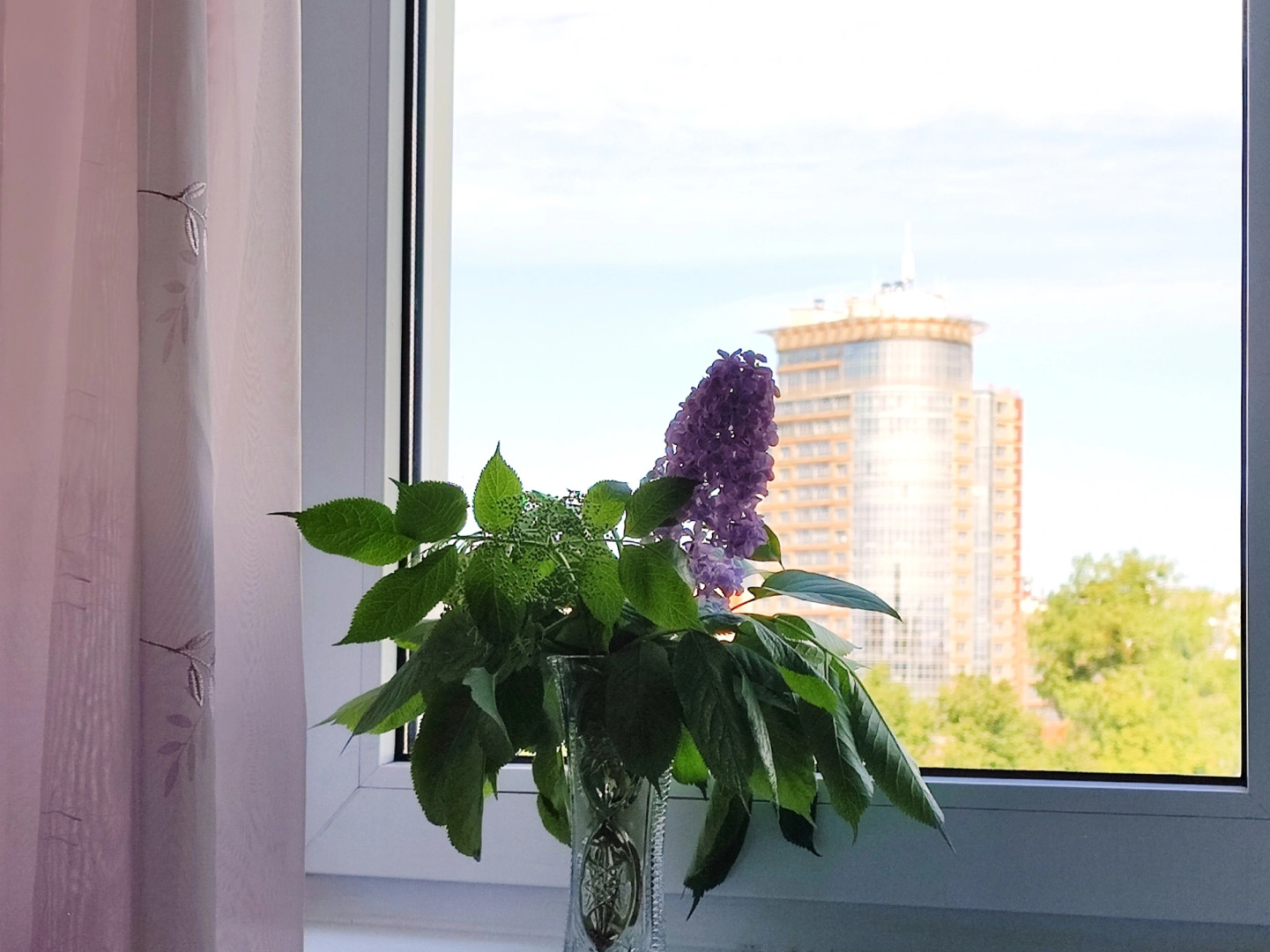 Апартаменты Кольцо старого Кенигсберга