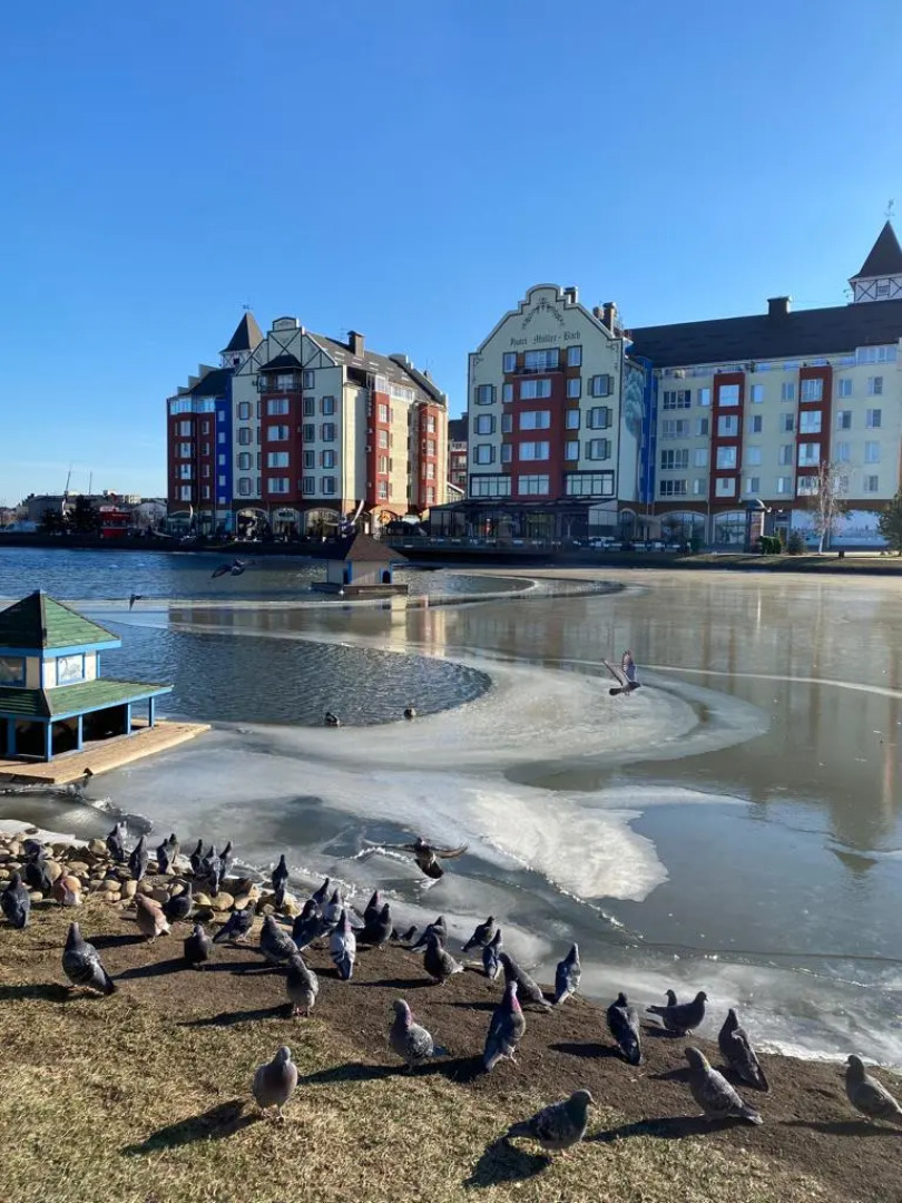 Апартаменты LilyApart