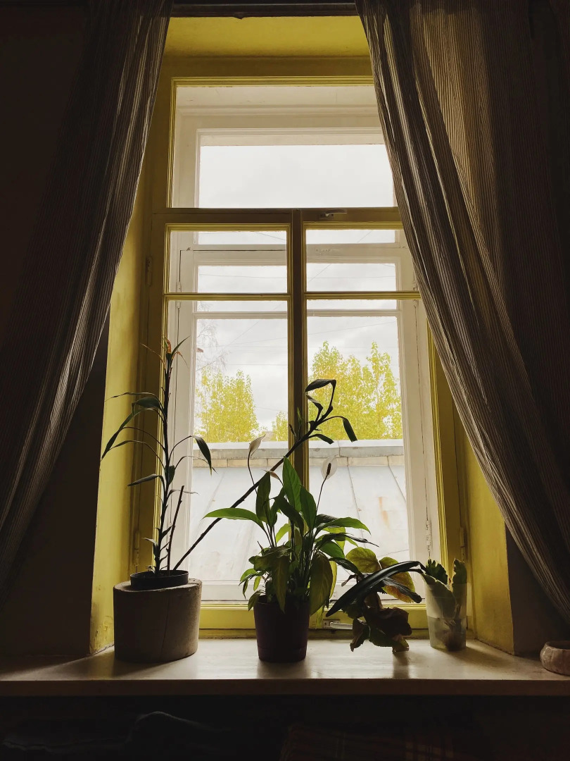 Хостел Chickadee