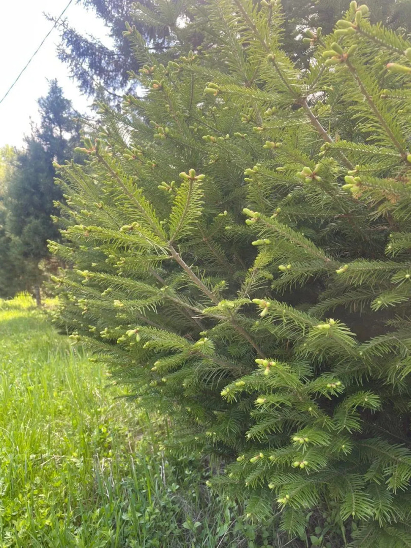 Гостевой дом Дом Сердце Байкала