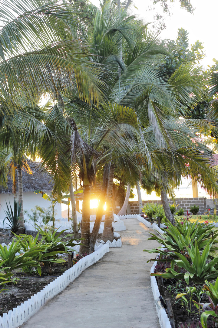 Отель Aya Beach Bungalows