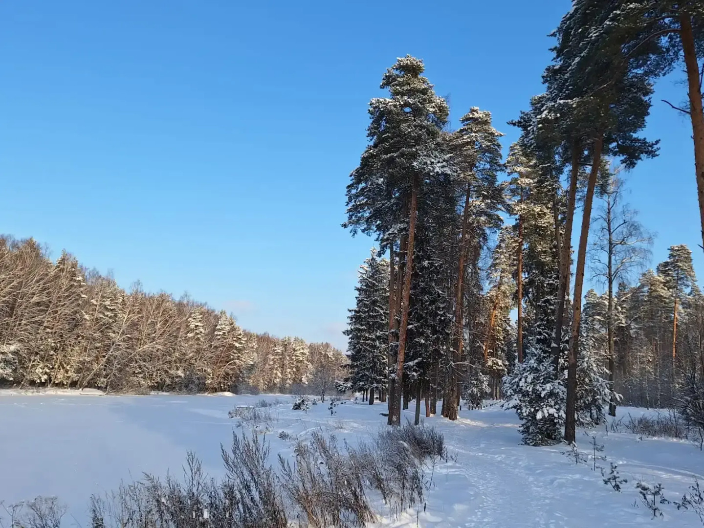 Частный дом в Заветах Ильича с голубой гостиной