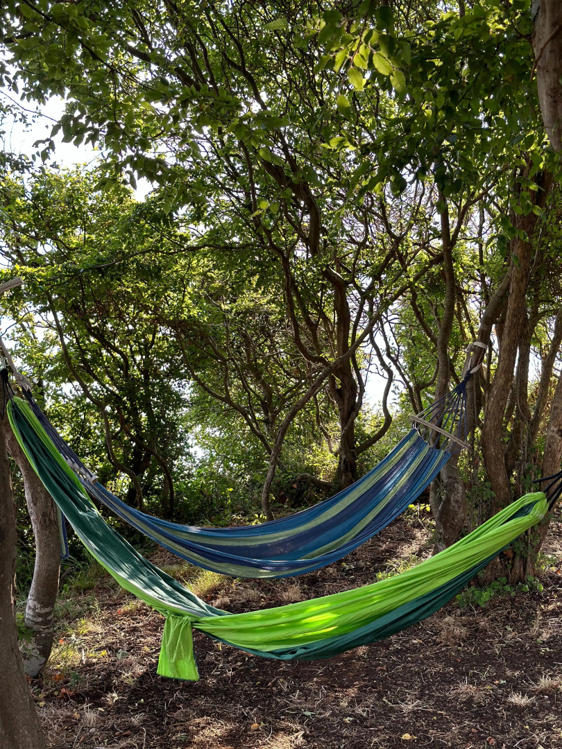 База отдыха Оазис