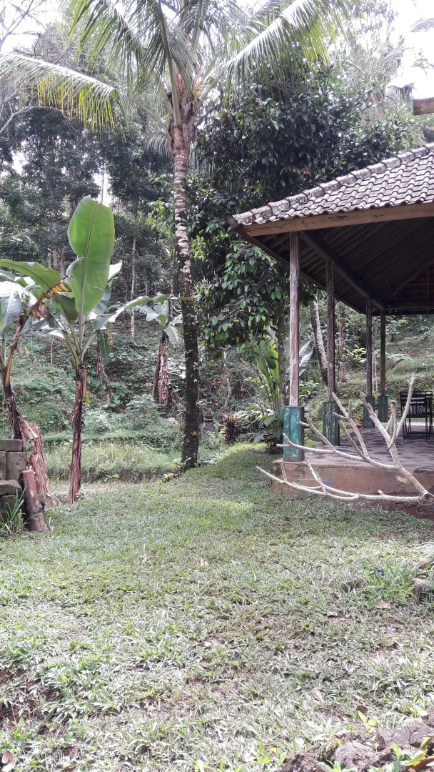 Хостел Tepi Sawah lodge