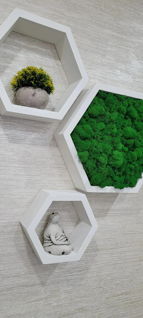 Квартира в центре города Оленегорск