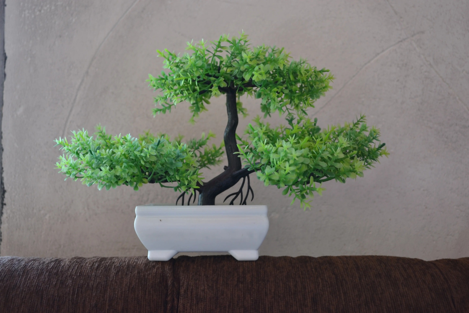 Гостевой дом Бонсай