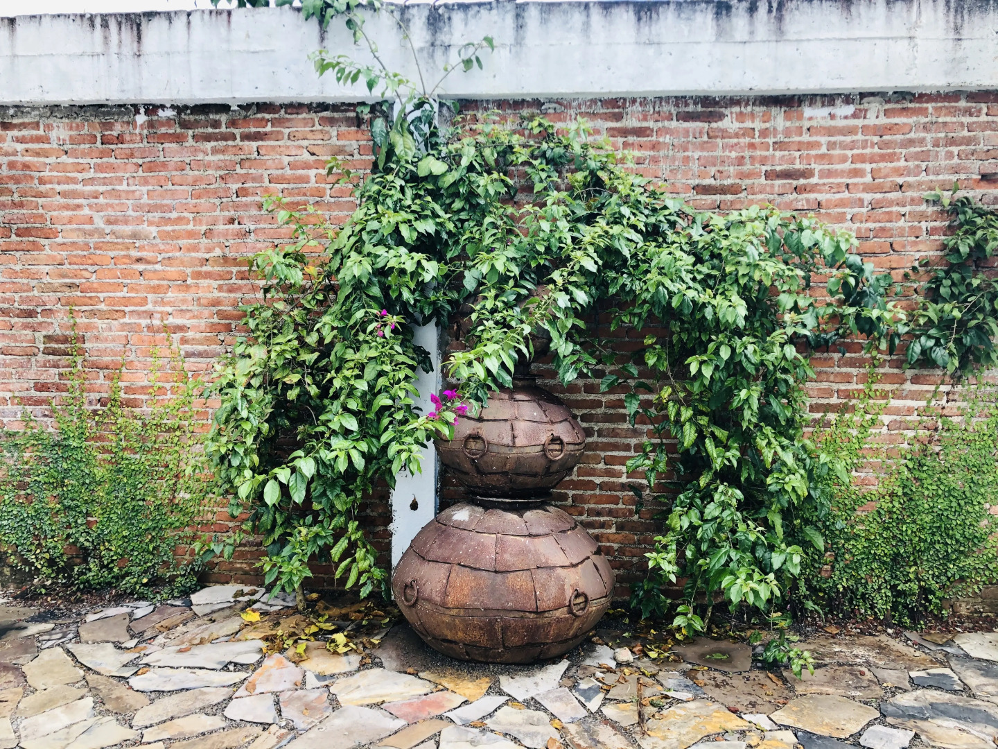 Отель El Capricho Rotamundos