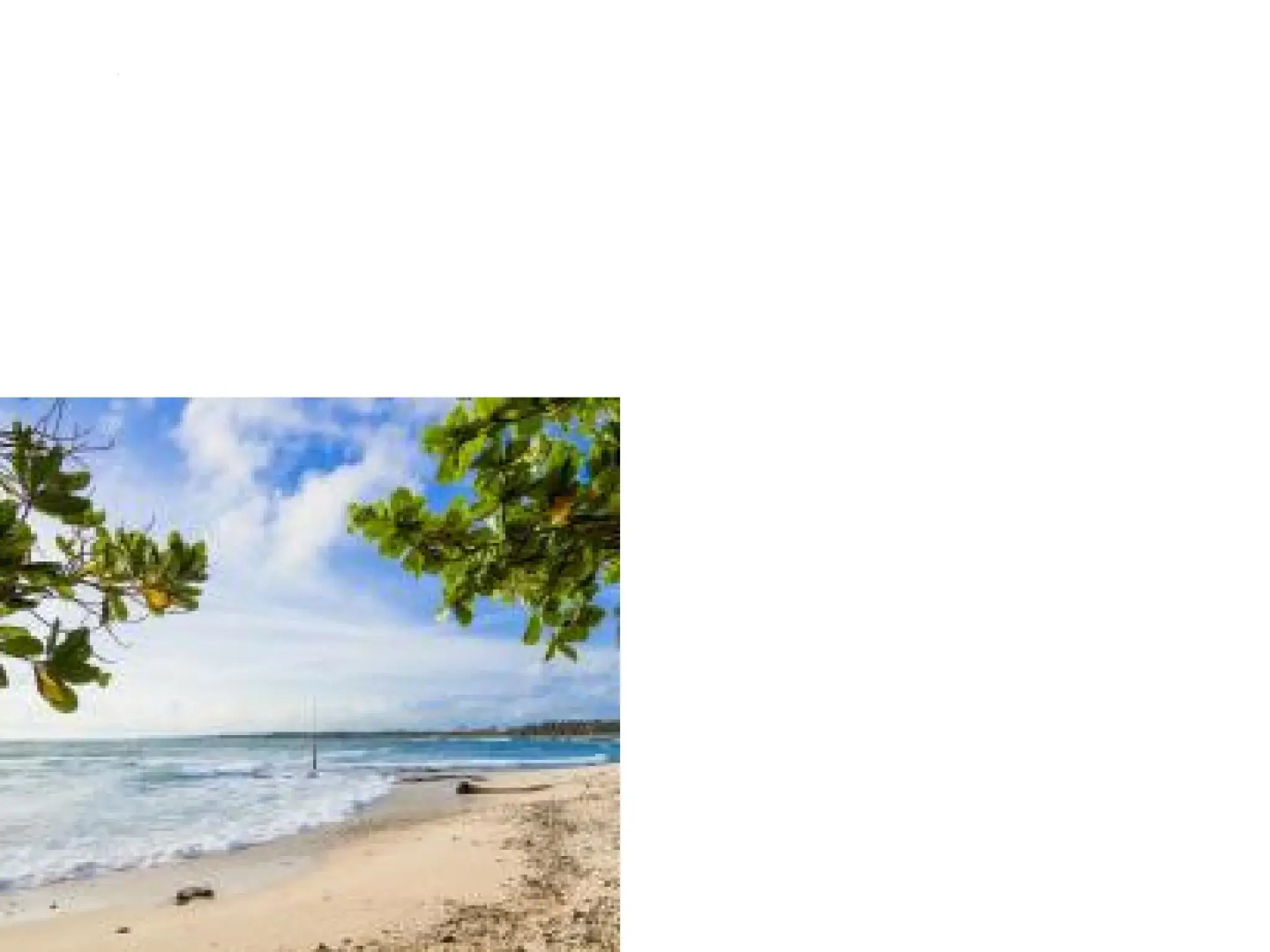 Отель Sea Crest