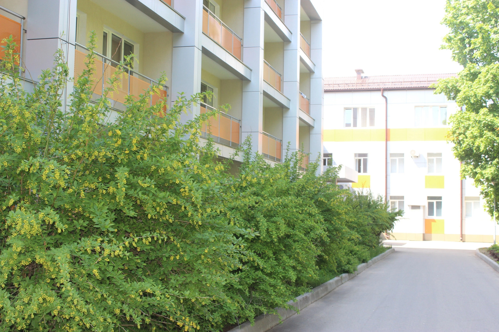 Borovichskij(AO BKO)