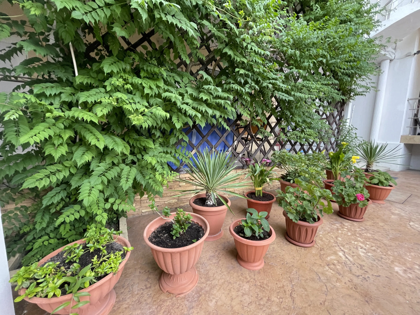 Гостевой Дом Астерия