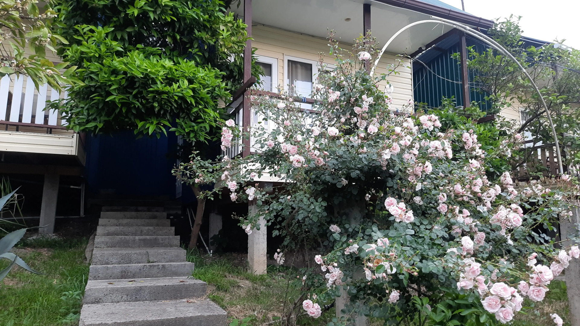 Гостевой дом Мандариновый Рай