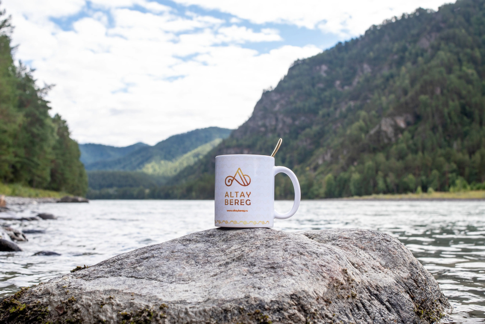 Гостевой дом АЛТАЙ БЕРЕГ ИП Рожнова Л.В.