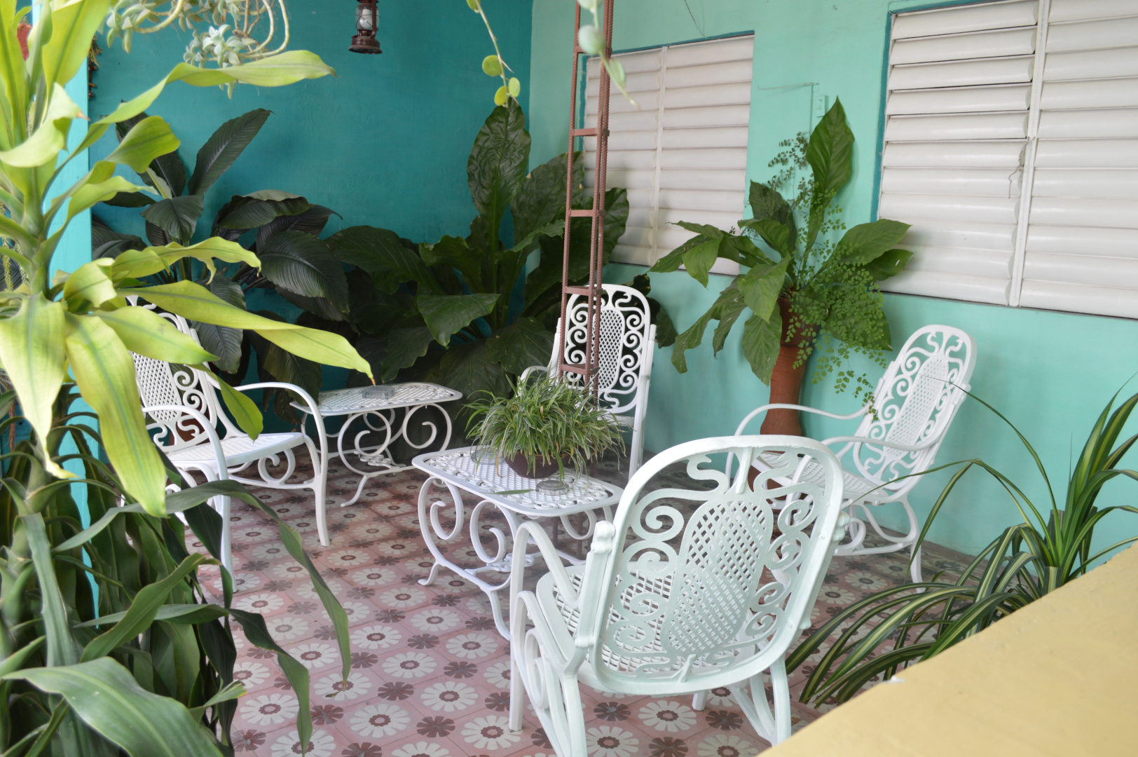 Хостел D´avila Casa Verde