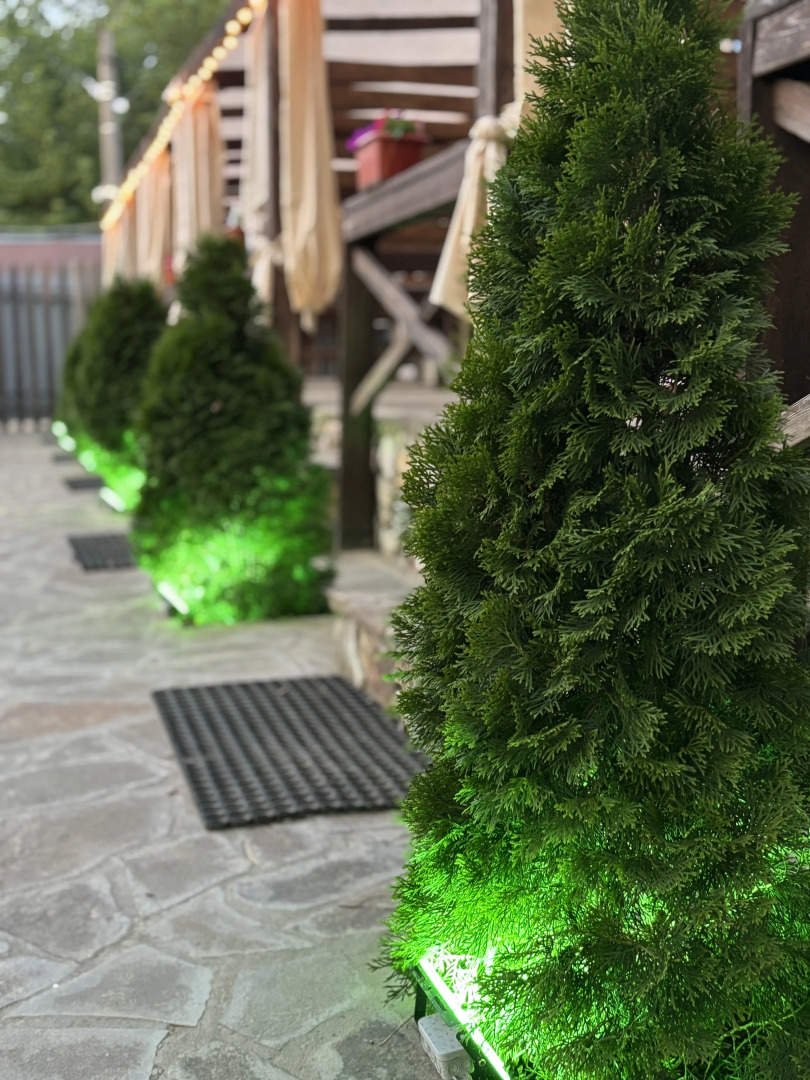 База отдыха Белуга