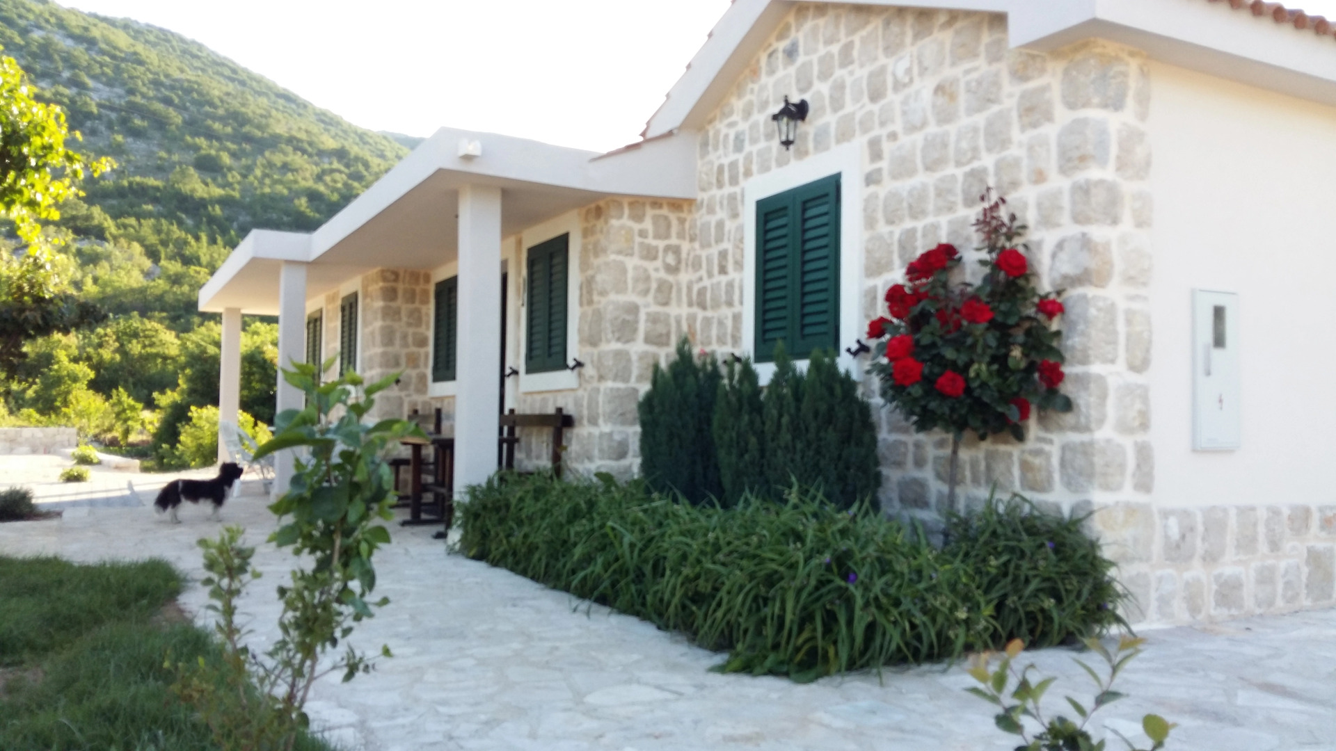 Вилла Villa with pool near Makarska