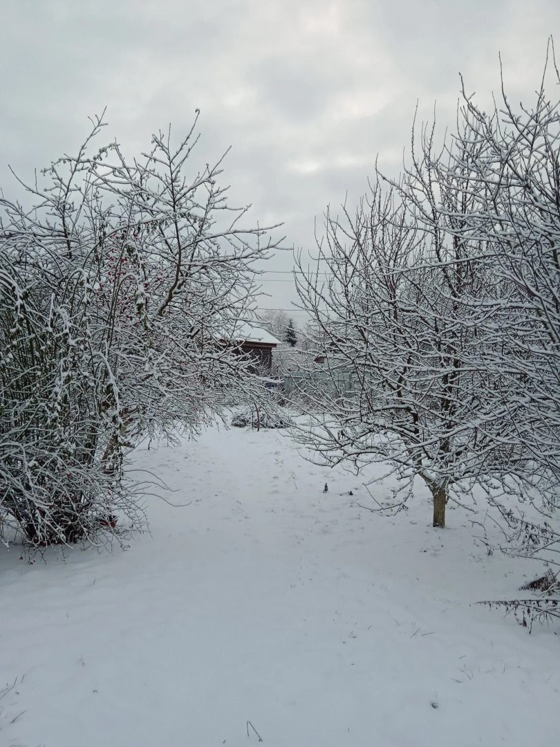 Гостевой дом Приднепровский
