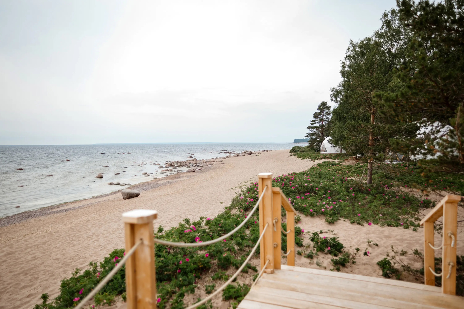 Глэмпинг Майтри кэмп на Финском заливе