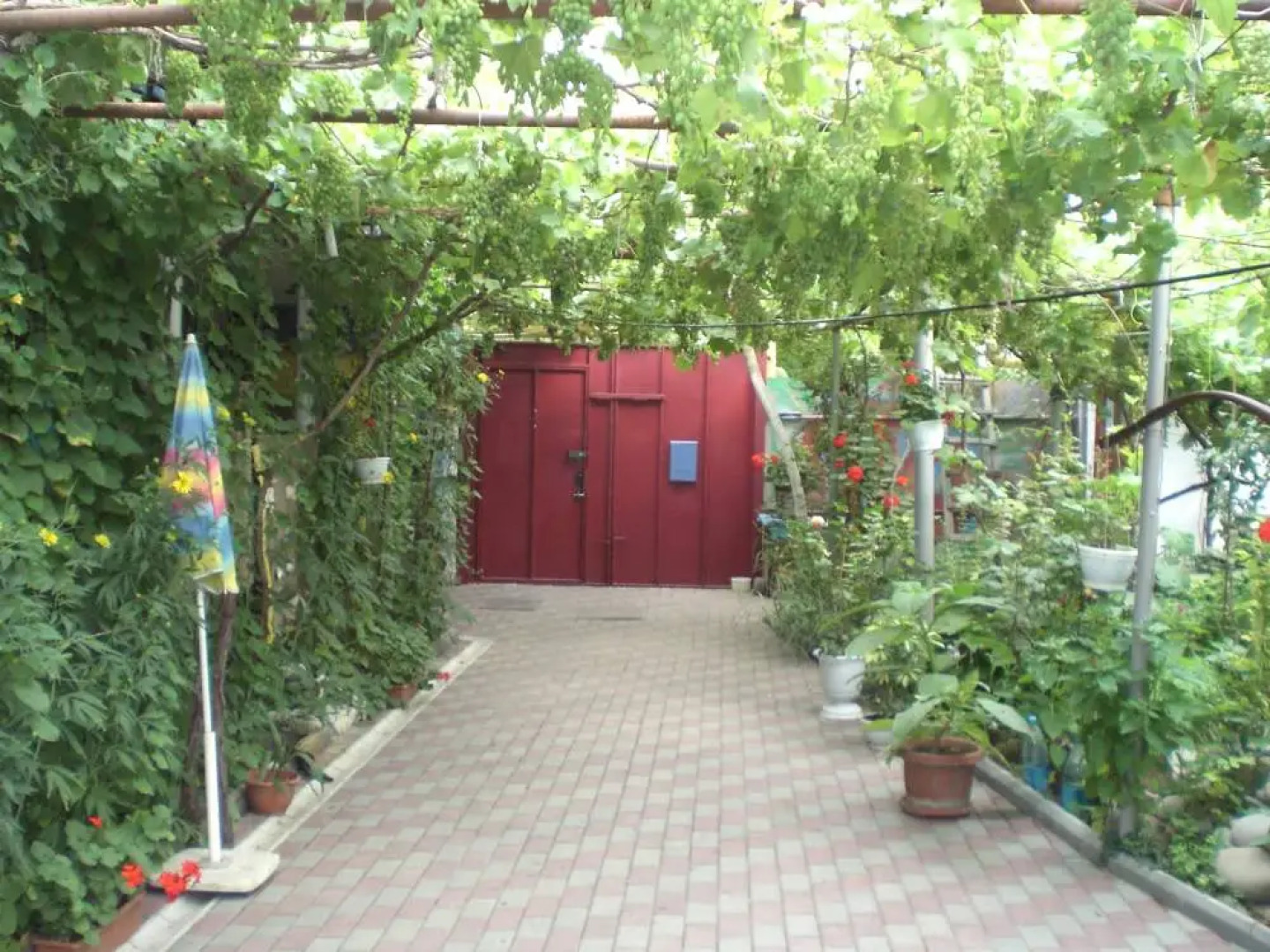 Меблированные комнаты Ясень