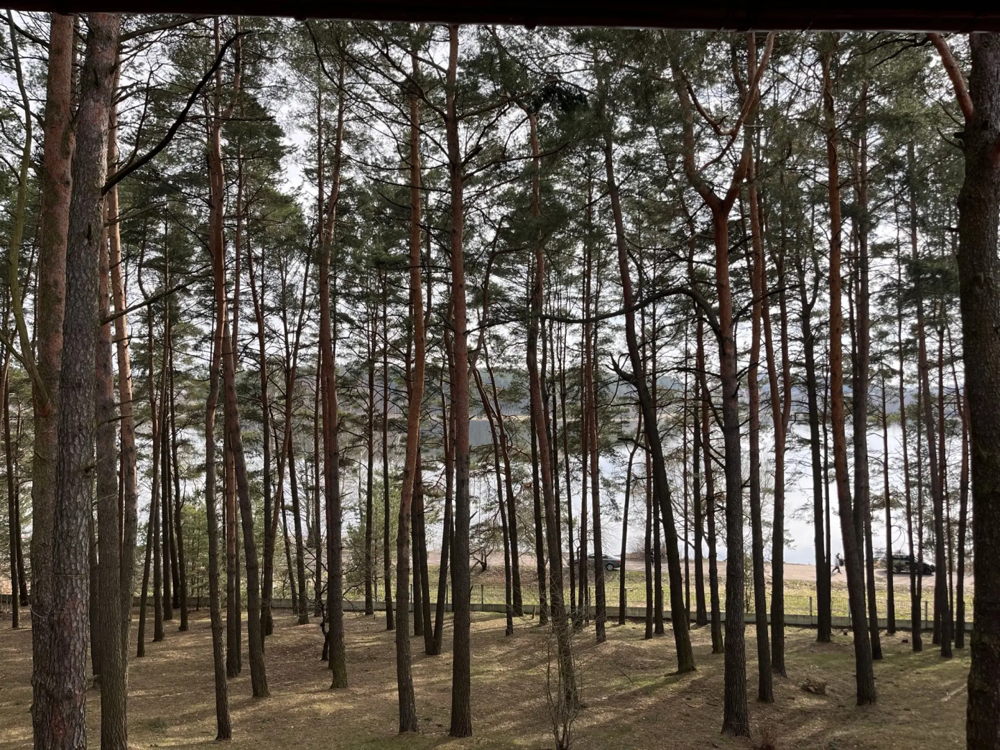 Оздоровительный комплекс Огонек