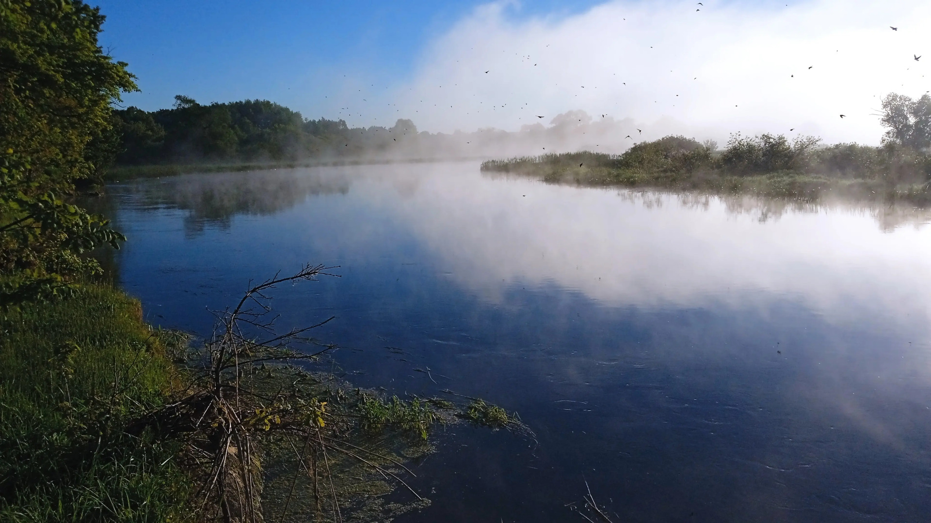 Жилое помещение Dao View Ясные просторы