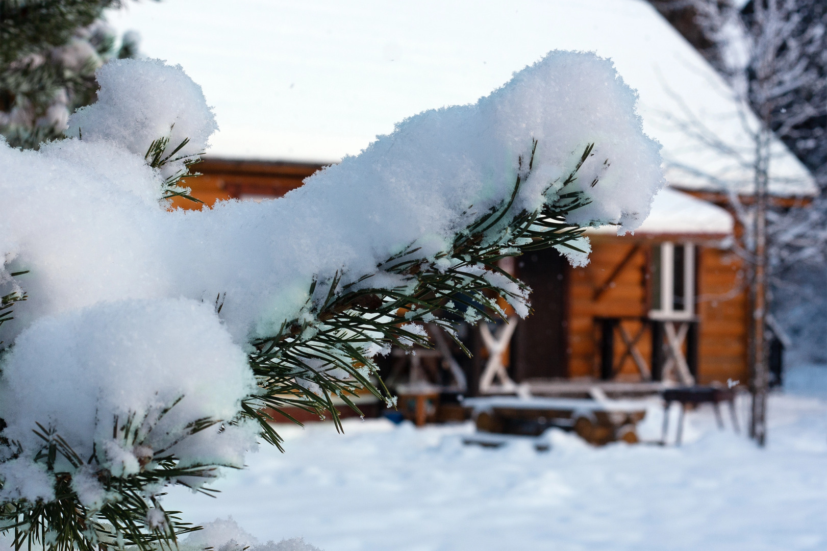 Коттеджный Комплекс Озерный Берег