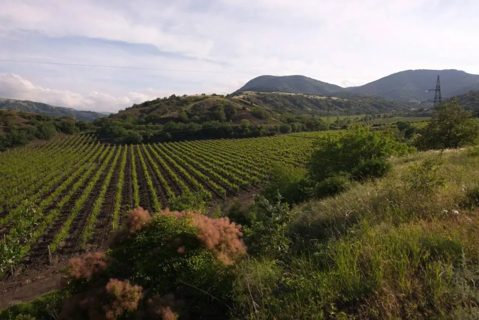 Гостевой Дом Ускут