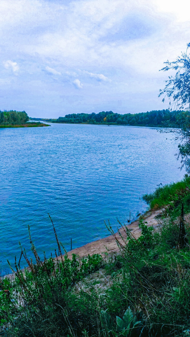 Гостевой дом Два белых льва на Дону