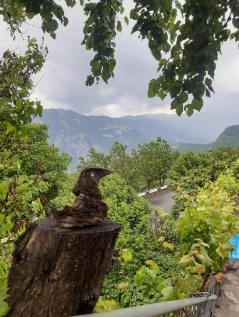 Гостевой дом Igor B&B