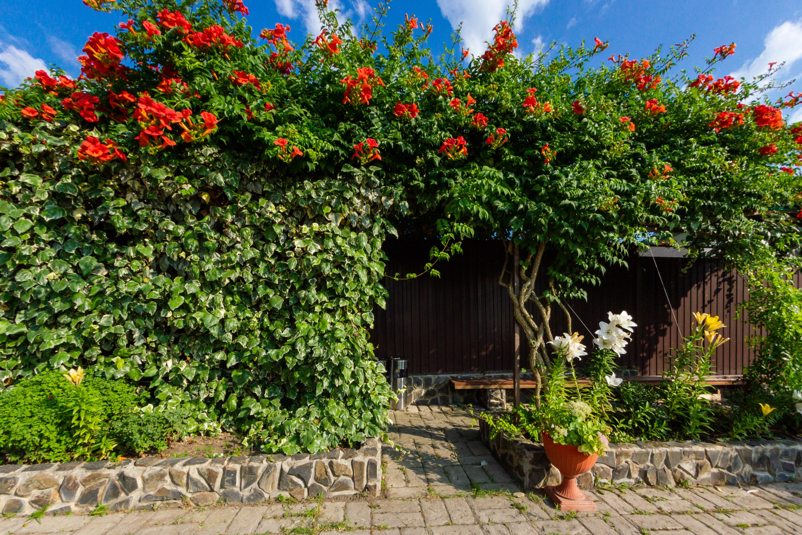 Гостевой Дом Абхазская Усадьба