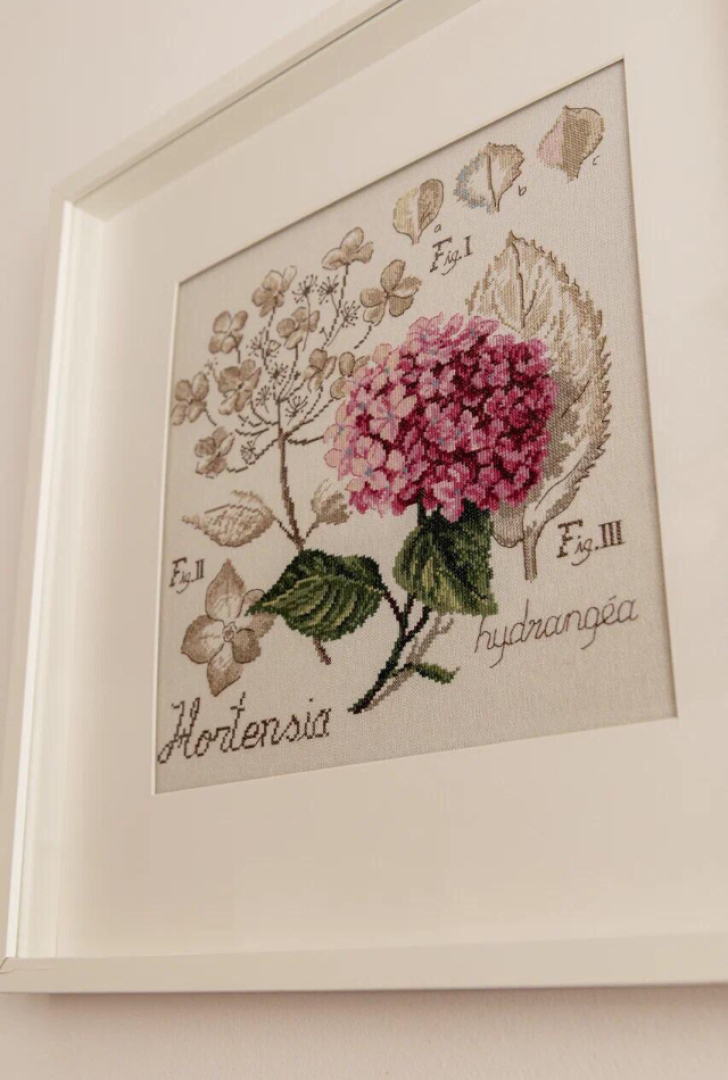 Гостевой дом Домашний пансион Понка Хаус