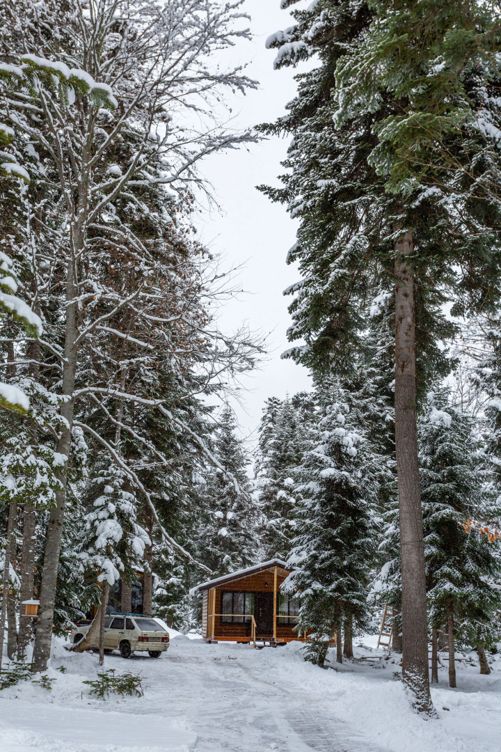 База отдыха Forest house resort