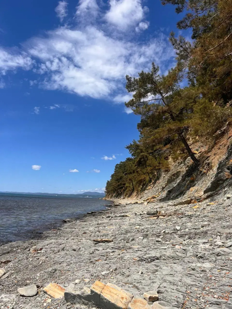 База отдыха Mare