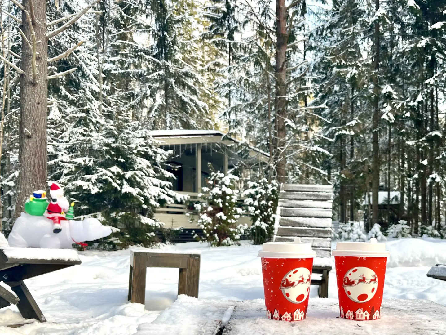 Лесной домик на берегу Озера Волго на Селигере - коттеджи Сосновый бор