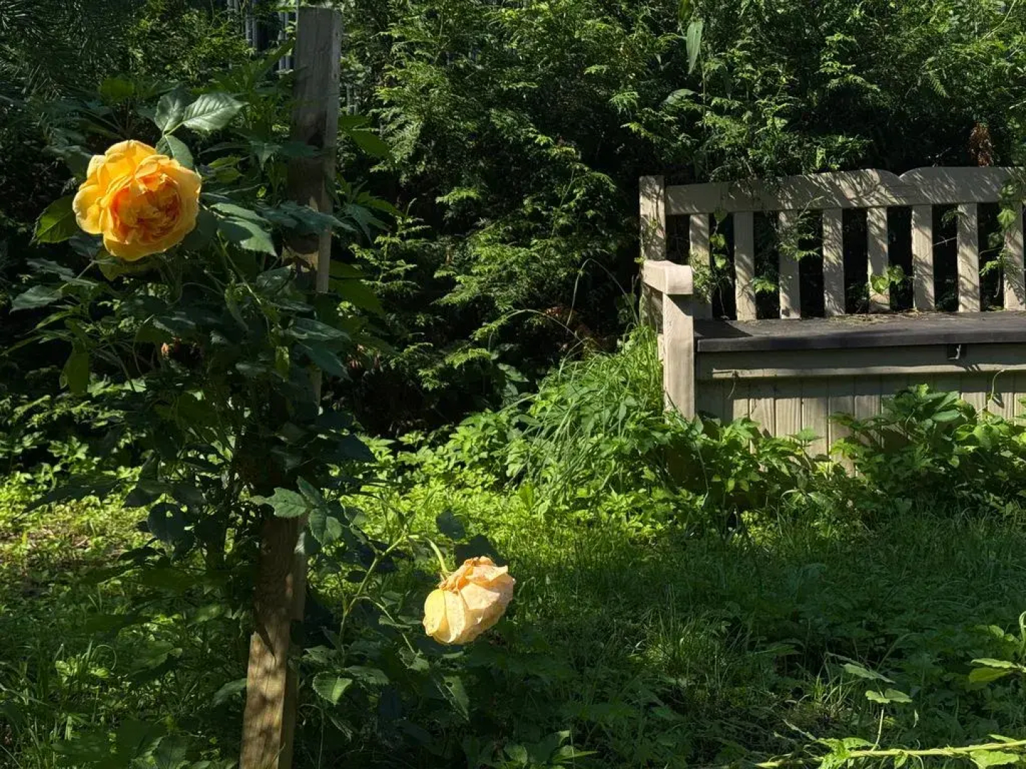 Частный дом с баней в лесу на берегу Истринского водохранилища