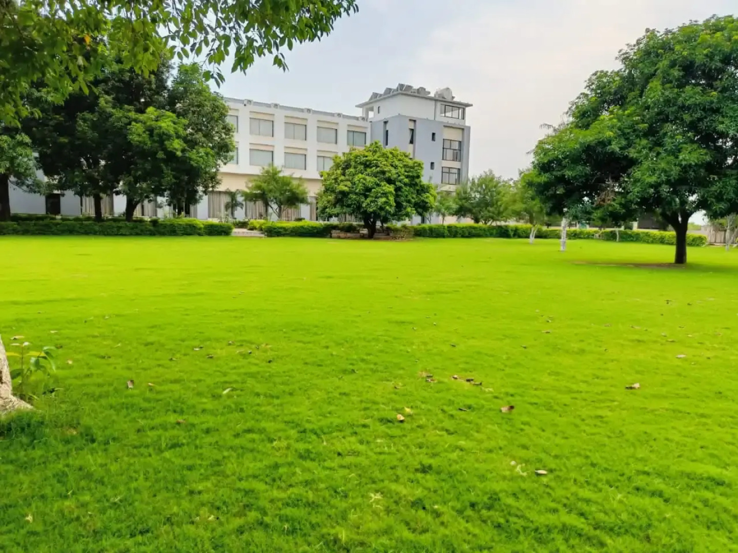 Отель Savitri Resorts Pushkar