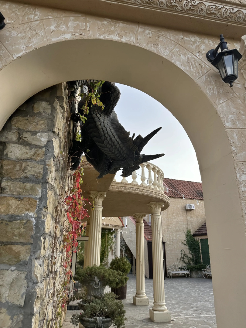 Отель Крылья