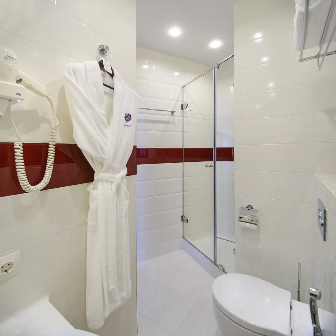 Меблированные комнаты Apartello на Толстого