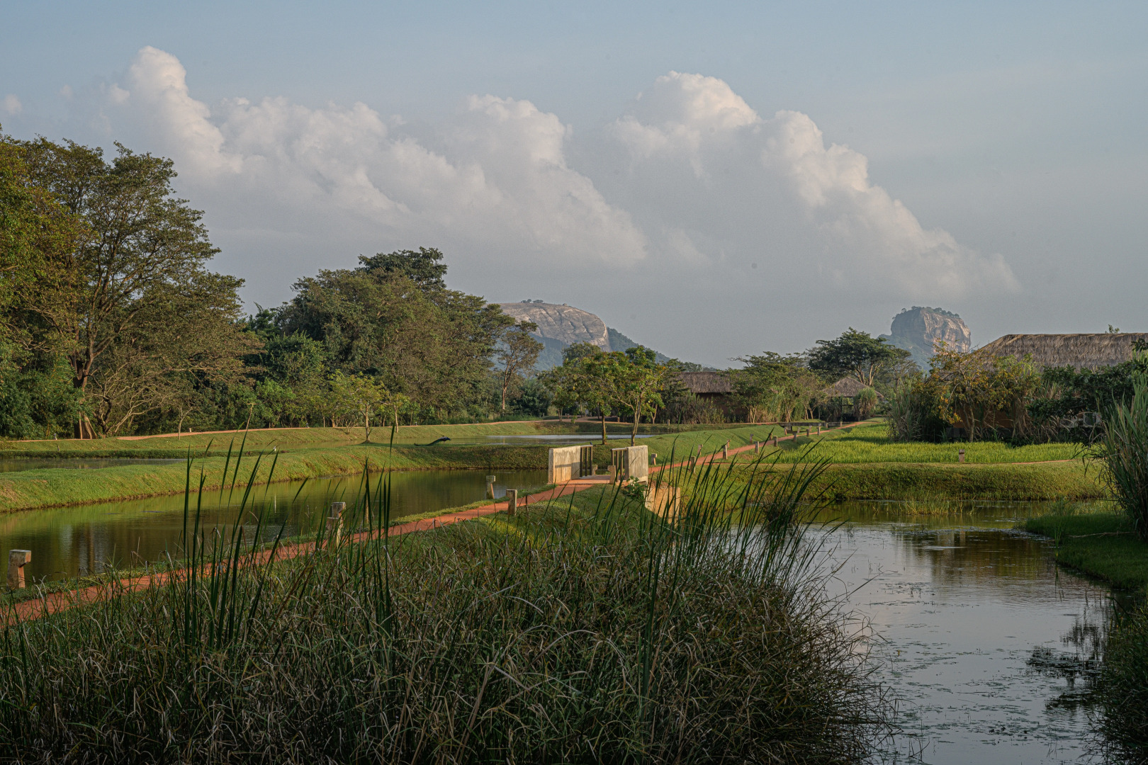 Отель Water Garden Sigiriya