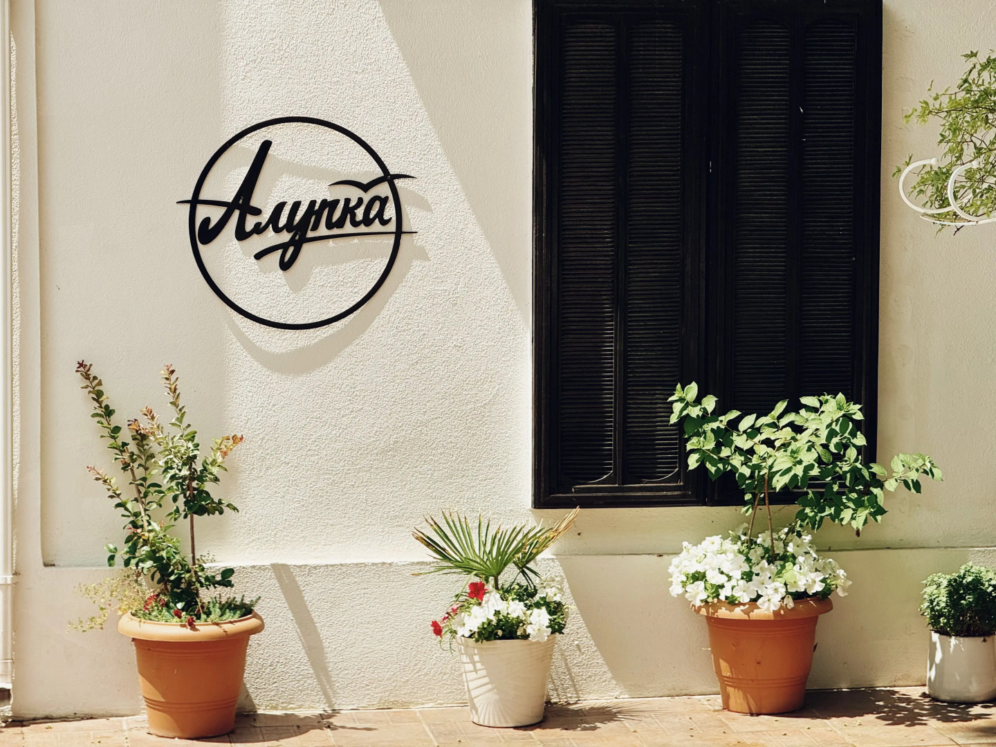 Гостевой дом Mare Nero