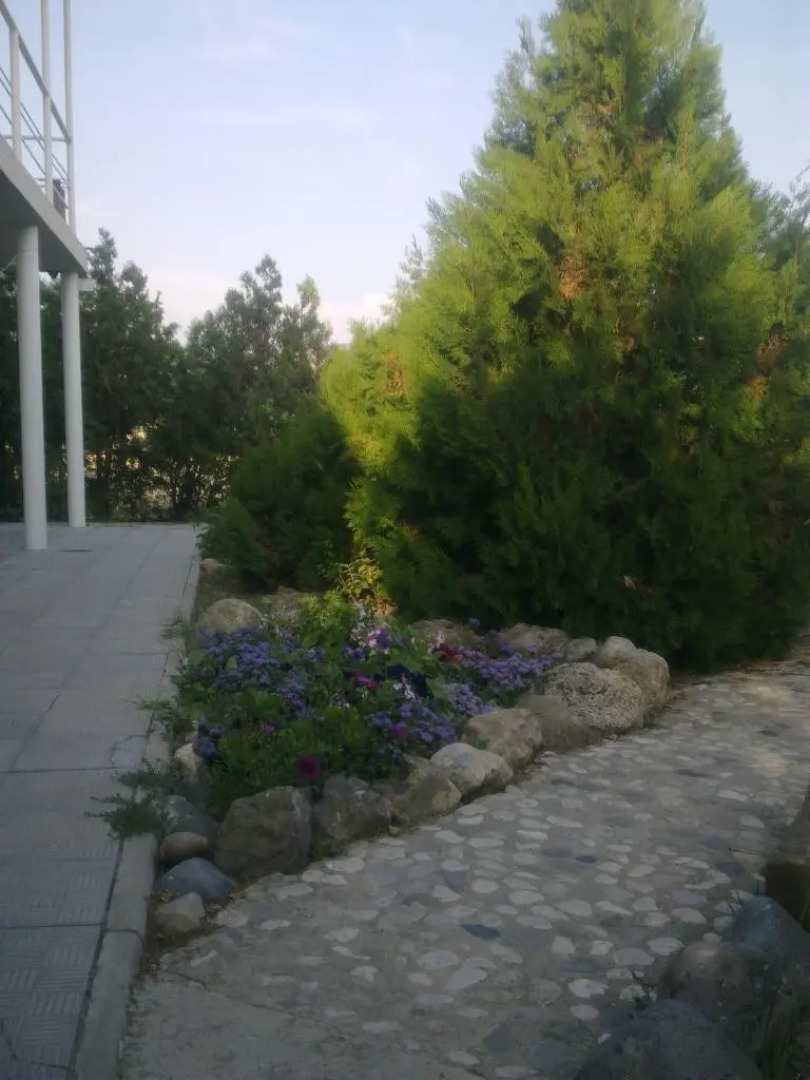 Оздоровительный Комплекс Лазурный