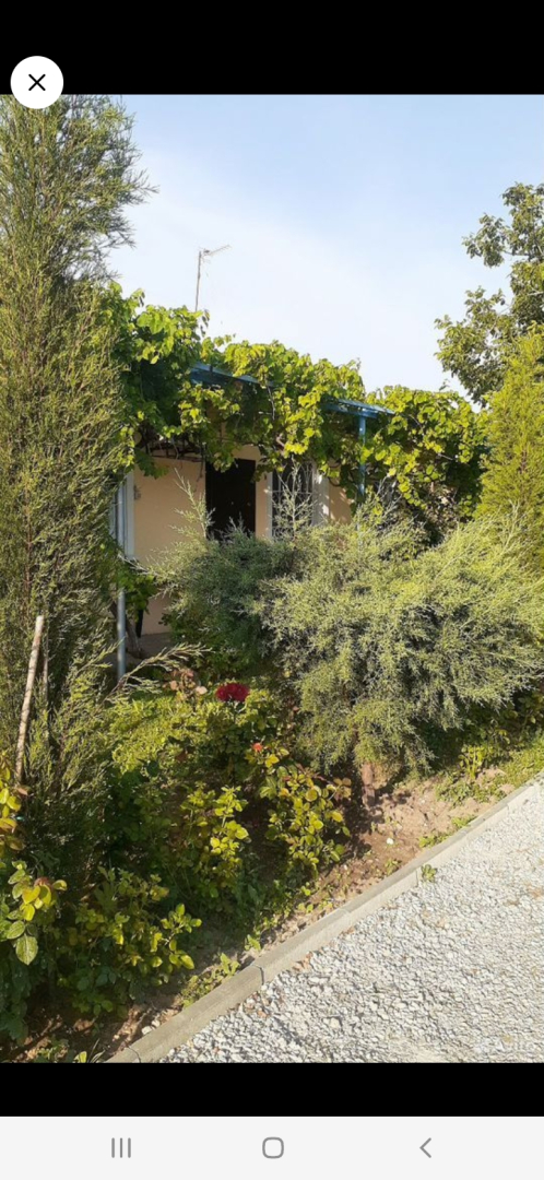 Гостевой дом Морская сказка