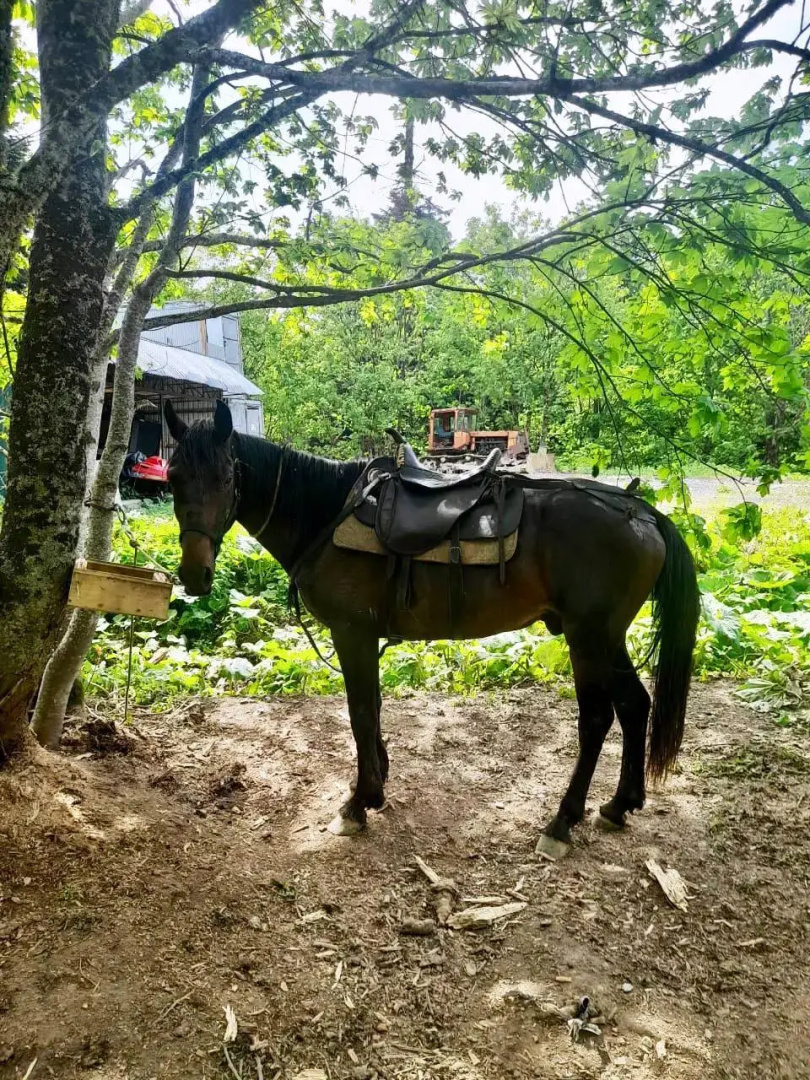 База отдыха Панорама