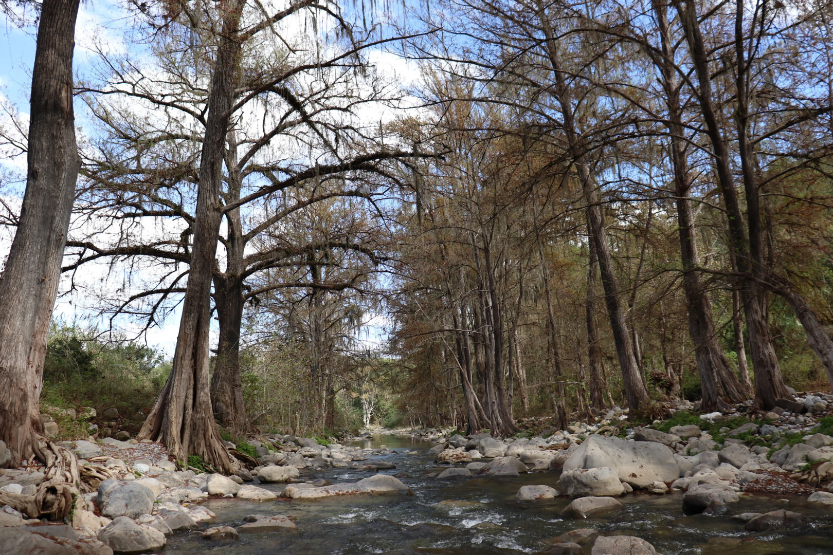 Отель Cabañas Spa Calicantre Rotamundos