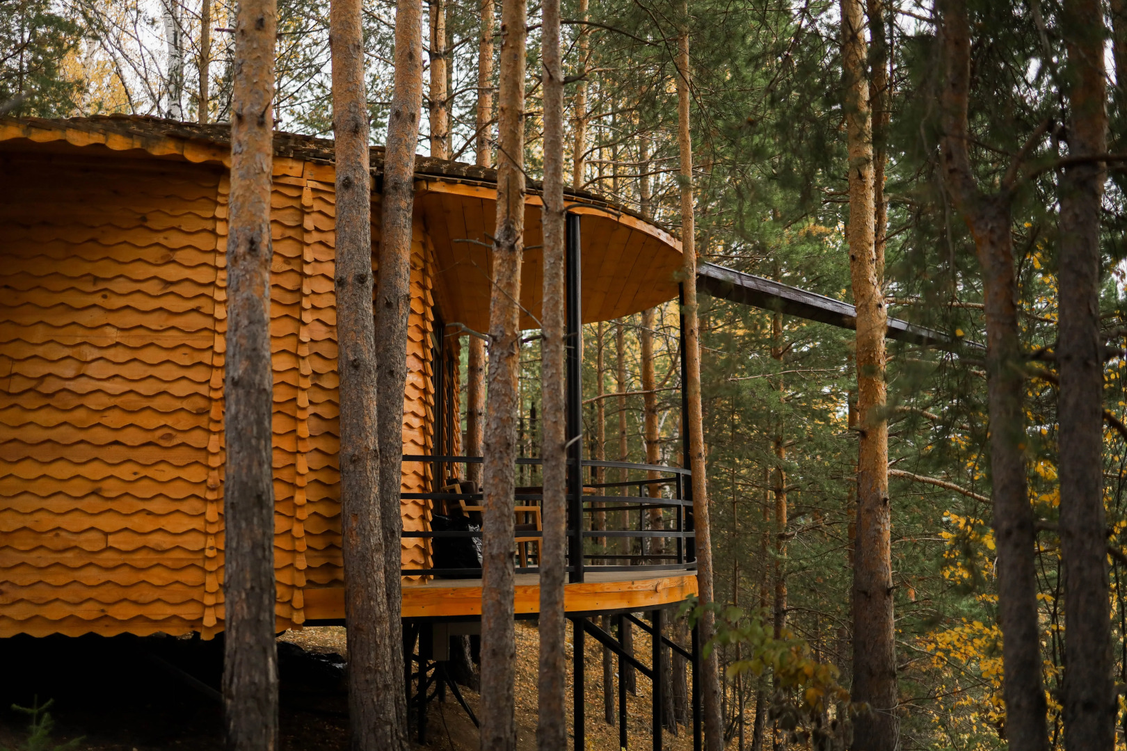 Отель Сорока