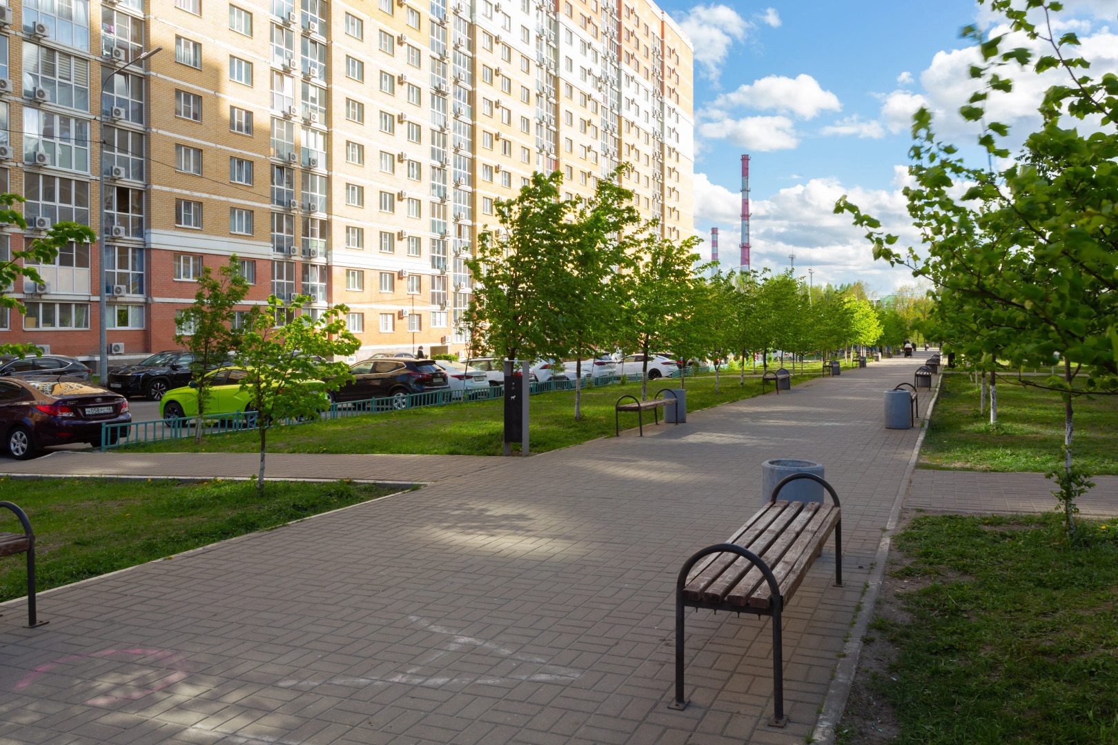 Апартаменты «Атмосфера» | Городская Саванна — Городская Саванна— Гармония Природы И Комфорта