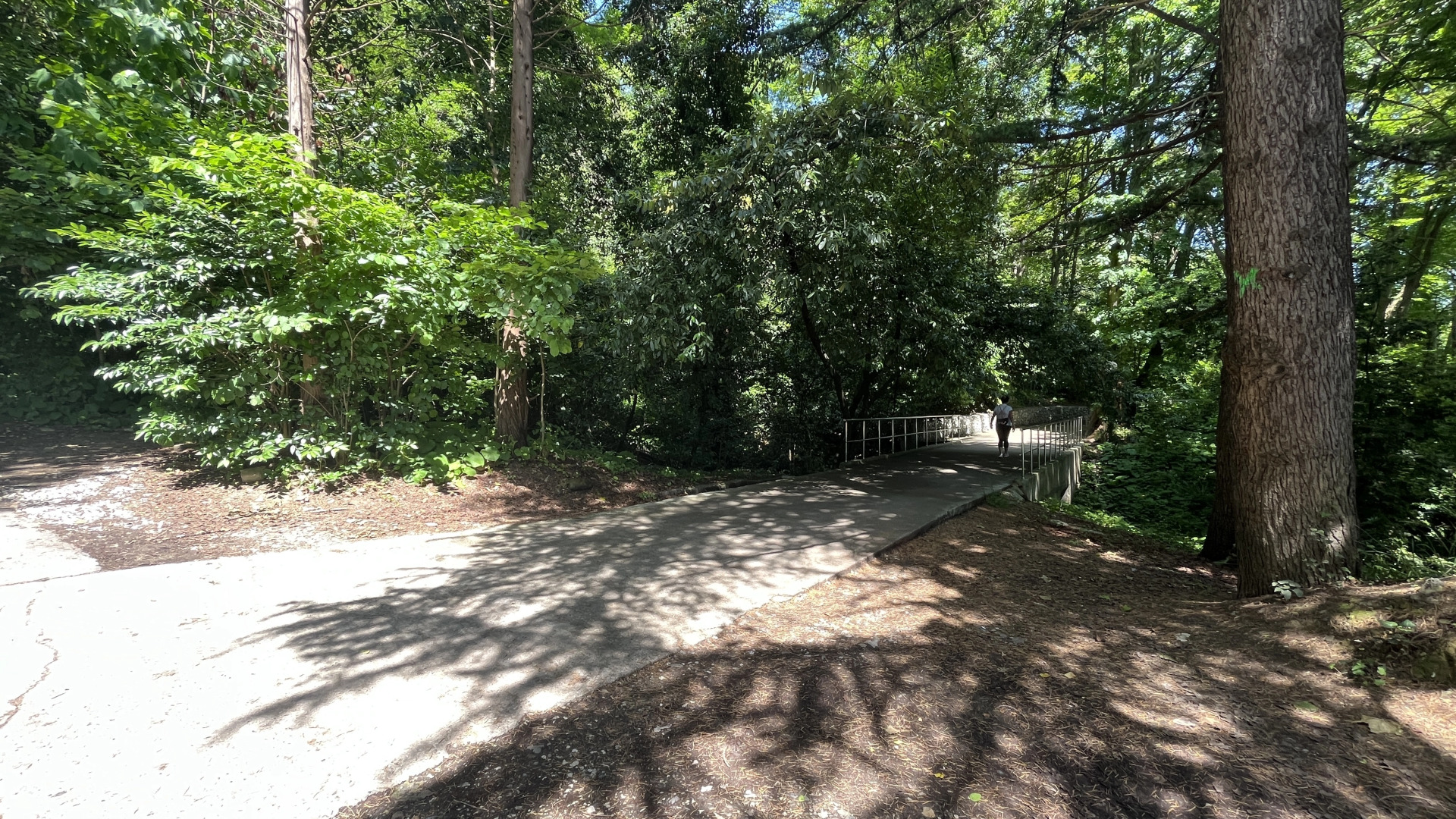 Апартаменты Альфа Заря