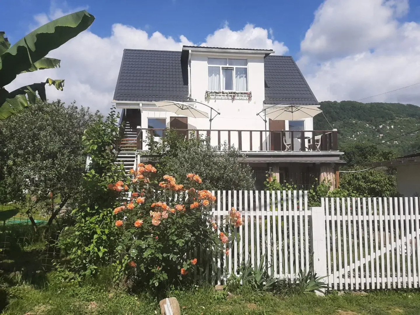 Меблированные комнаты Тишины хочу