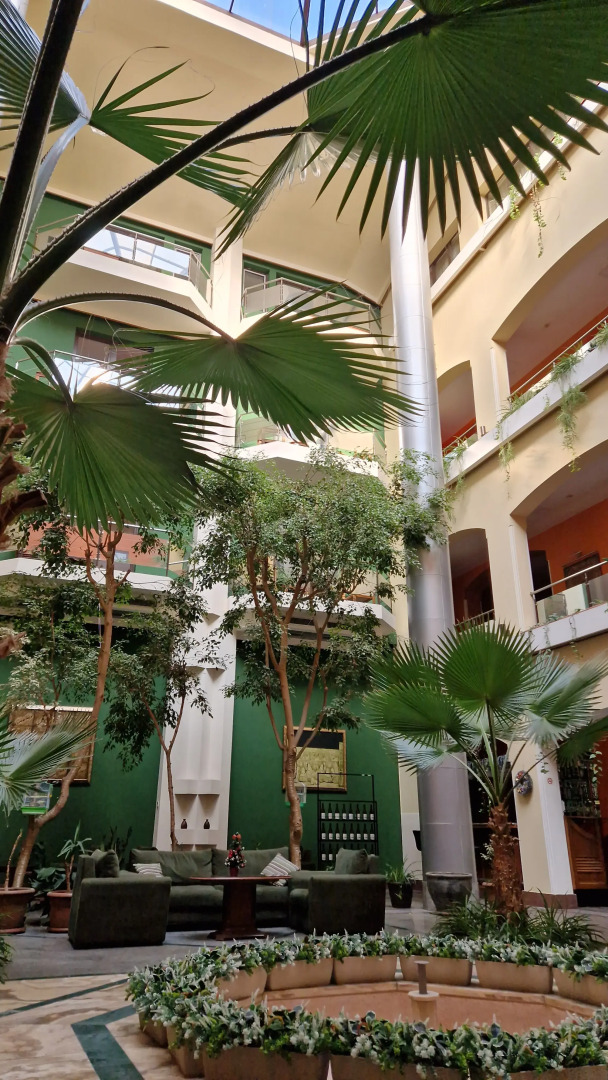 Отель Арарат