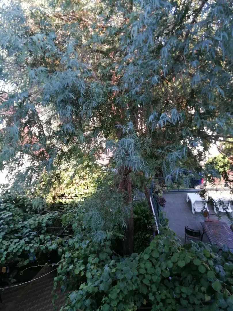 Гостевой дом Эвкалипт